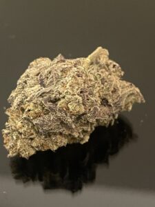 New ! PURPLE TUNA- UPTO 30% THC - SPECIAL PRICE 160$ OZ!