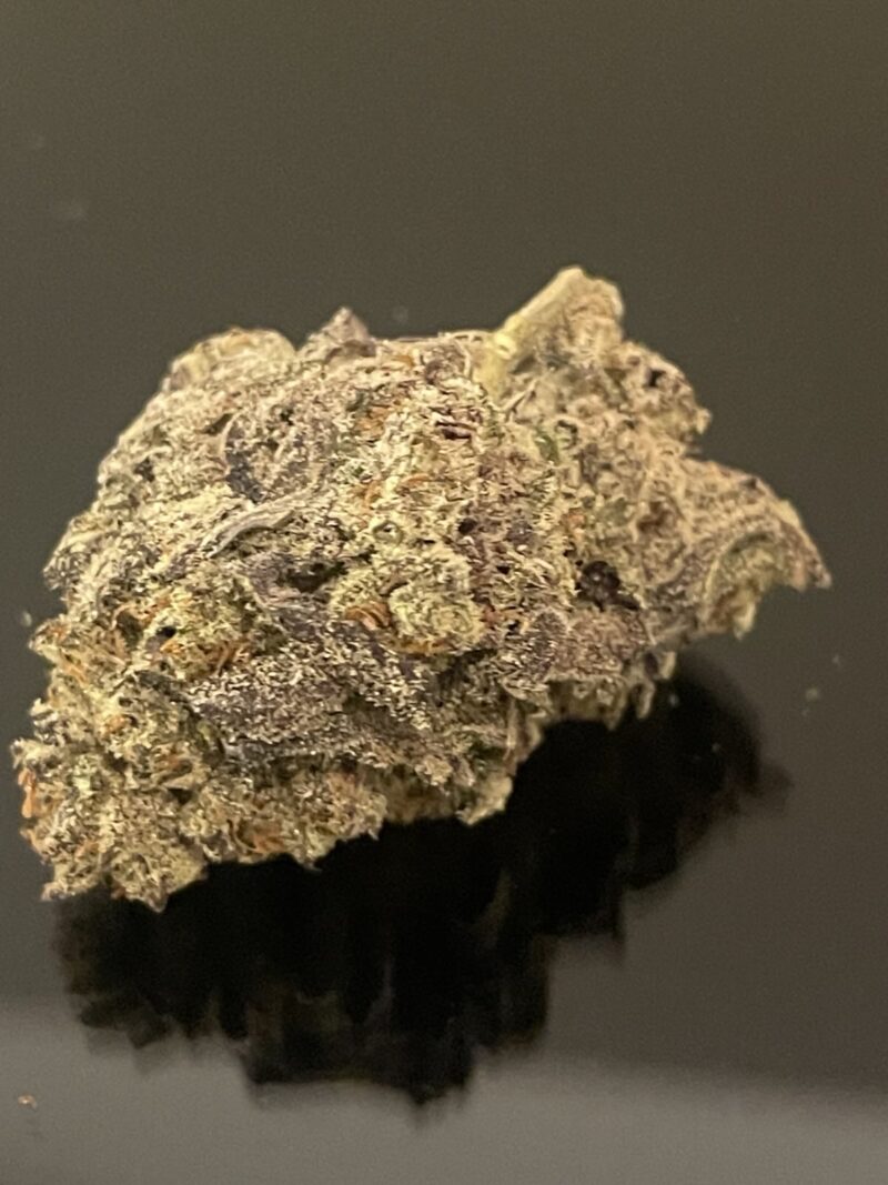 New ! PURPLE TUNA- UPTO 30% THC - SPECIAL PRICE 160$ OZ!
