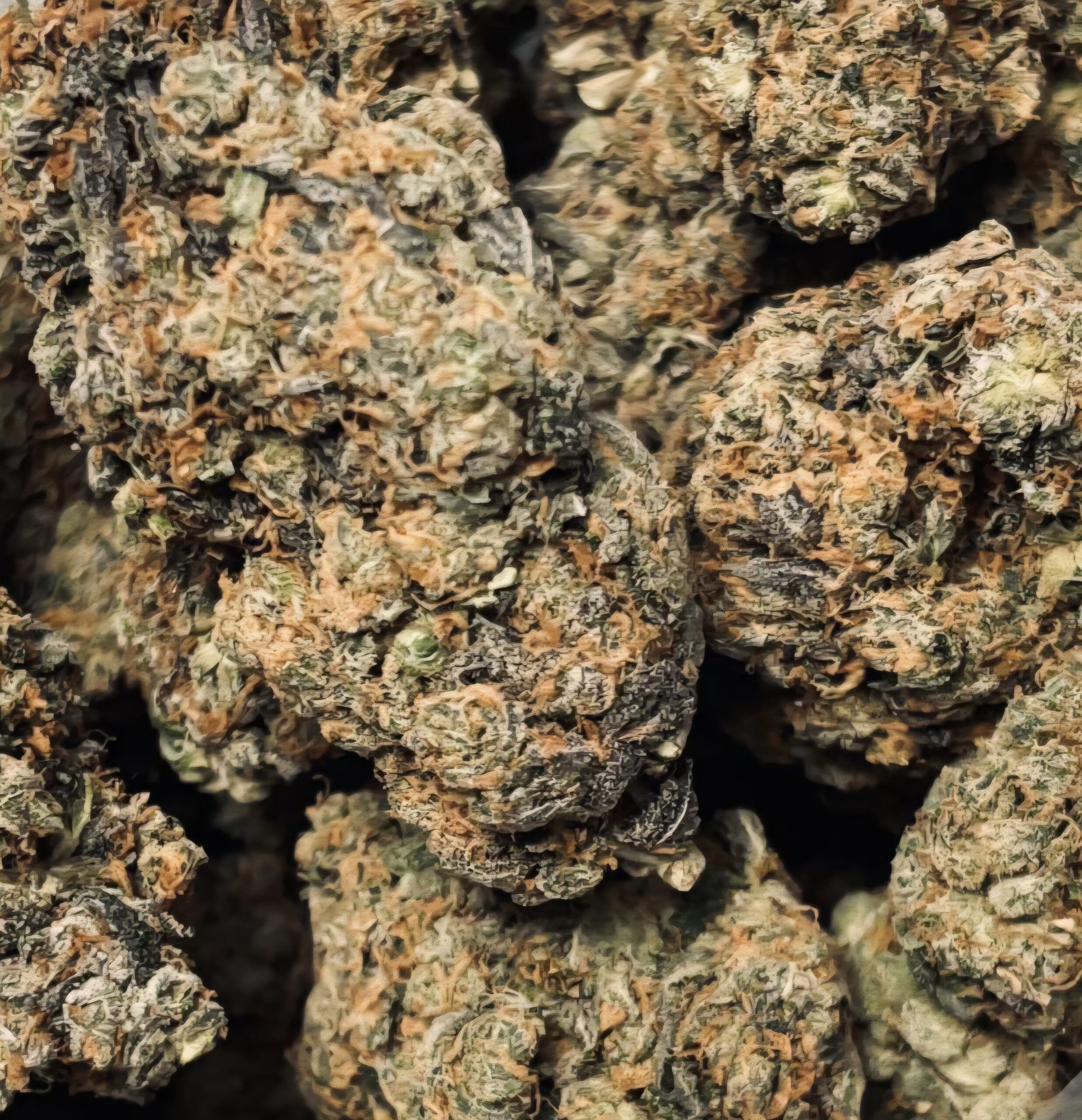 New AAA+ ! PINK PEANUT BUTTER- UPTO 25% THC - SPECIAL PRICE 160$ OZ!